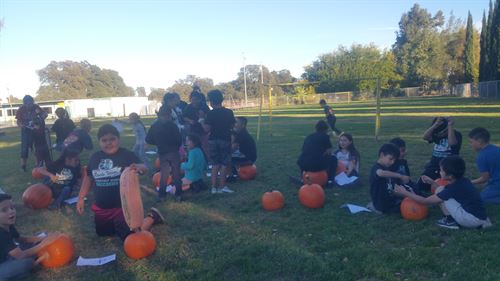 students with pumpkins on lawn